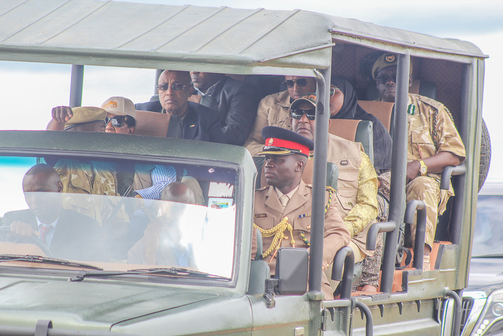 Safari wildlife
